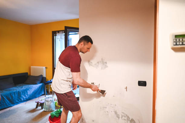 Best Mold Remediation for Specific Building Types in Ives Estates, FL